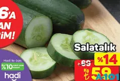 SALATALIK KG SALATALIK KG